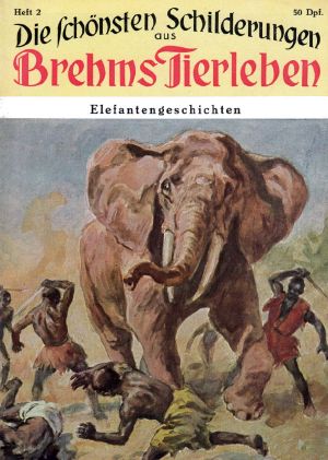 [Brehms Tierleben - Heft 02] • Elefantengeschichten